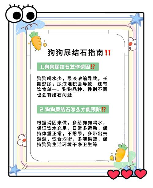 狗狗尿路结石两天没吃东西了没力气排便怎么办?