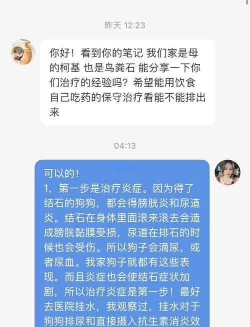 狗狗尿路结石怎么治疗?