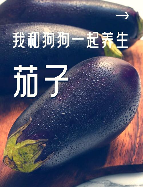狗狗和茄子是最后两个字的歌曲?