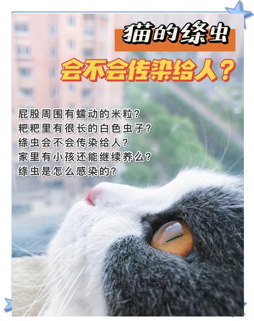 猫得了绦虫病