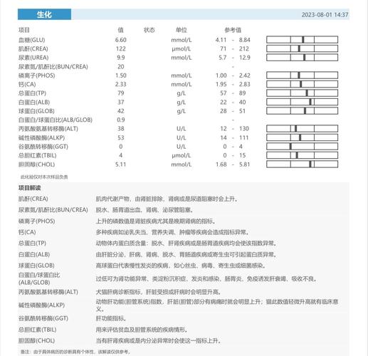 猫咪生化检查是什么