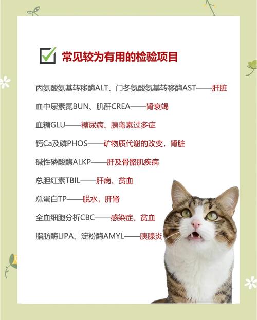 猫咪生化检查是什么意思