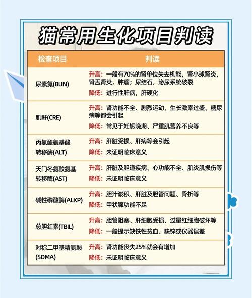 猫咪生化全套和半套的差别