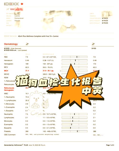 猫做生化是检查什么症状