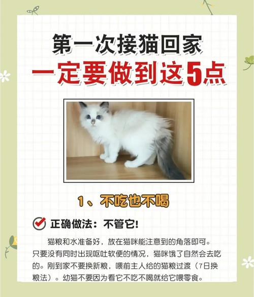 猫猫刚到家多久能适应环境呢。