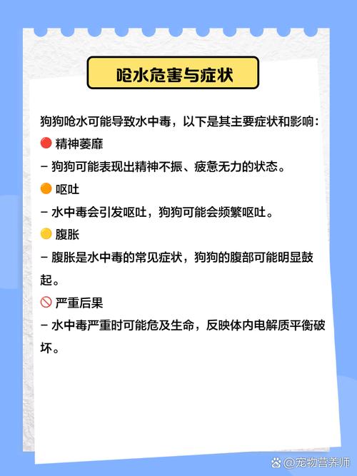 狗狗呛水怎么办?