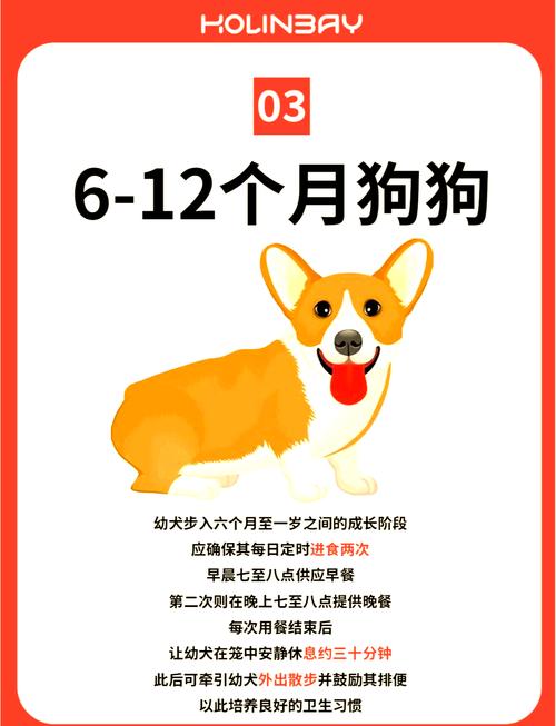 刚生出来的小狗几天可以吃饭