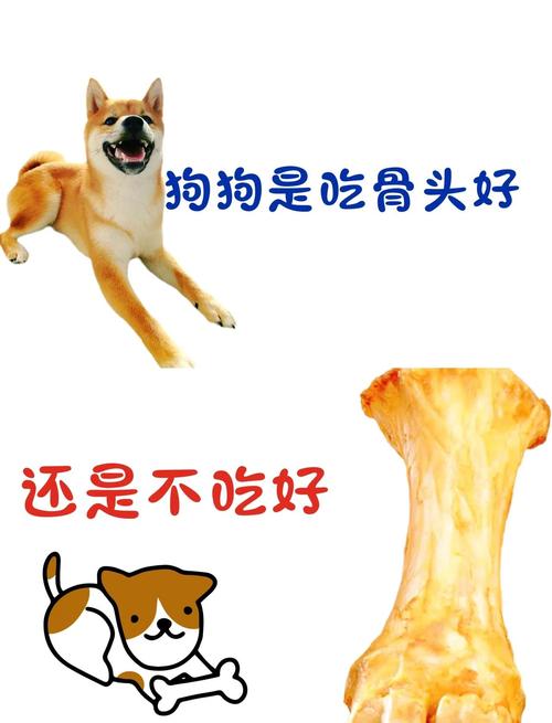小狗多大可以吃骨头