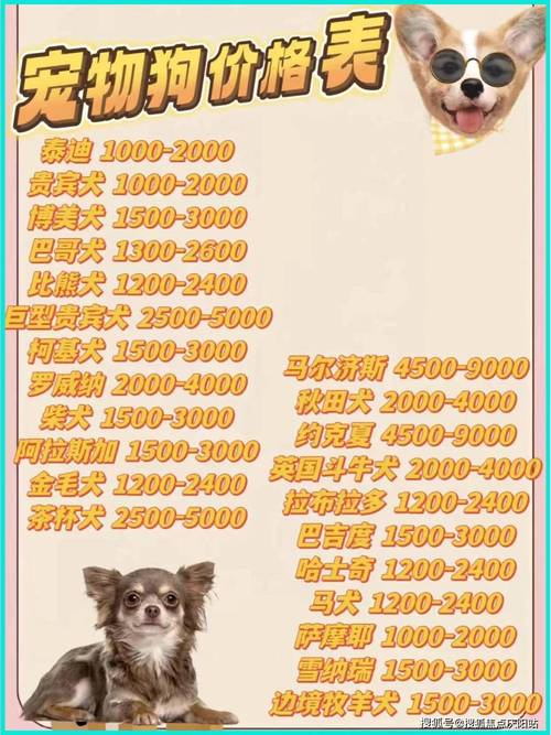 给狗上户口多少钱