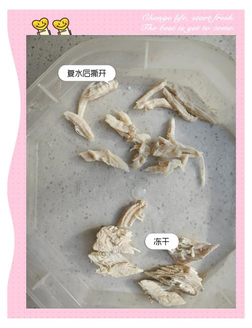 如何自制猫咪冻干?