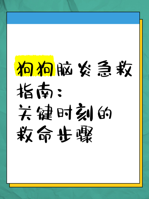 狗狗得了急性脑炎怎么办啊?很着急谢谢大家了