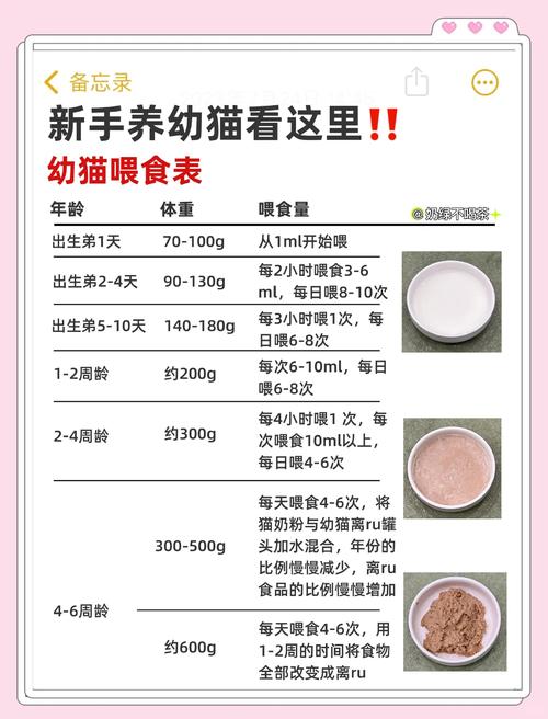 刚生下来的小猫不会吃奶怎么办