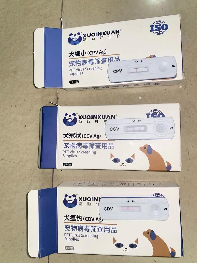 狗冠状过几天就安全了