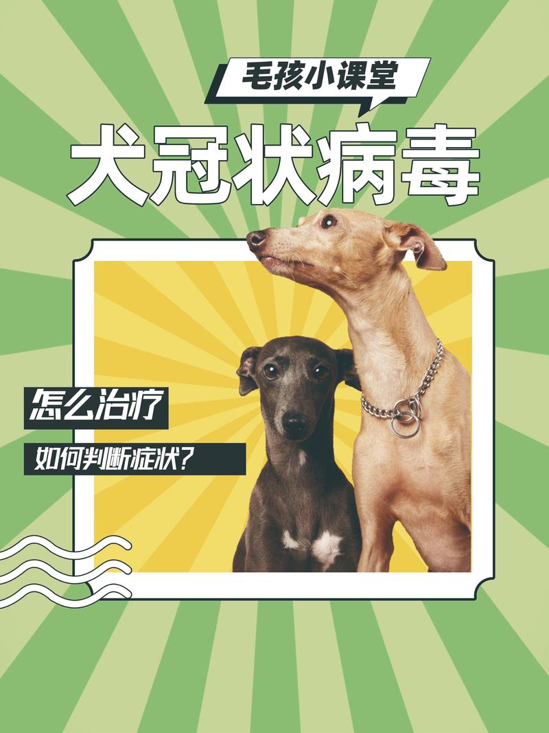 狗狗冠状肺炎多久能好