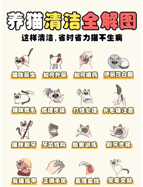 养宠知识:宠物干洗粉有用吗,宠物干洗粉怎么用?