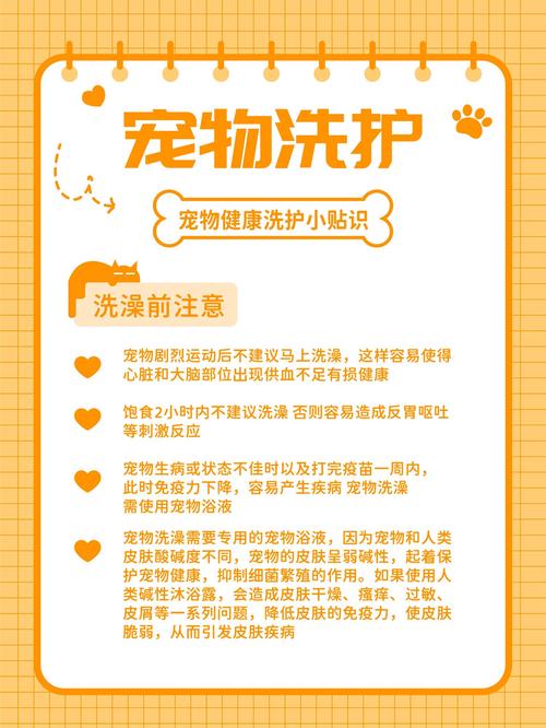 猫咪干洗粉怎么用