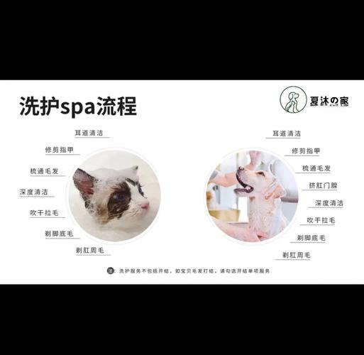 一个月的小猫太脏怎么清理