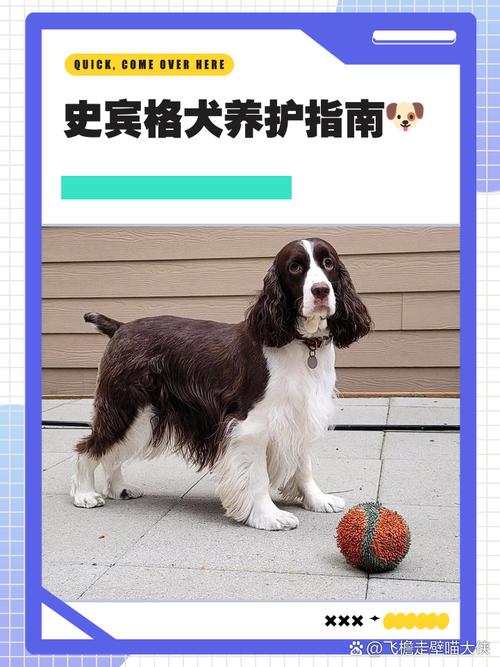 狗狗为什么不能洗冷水澡