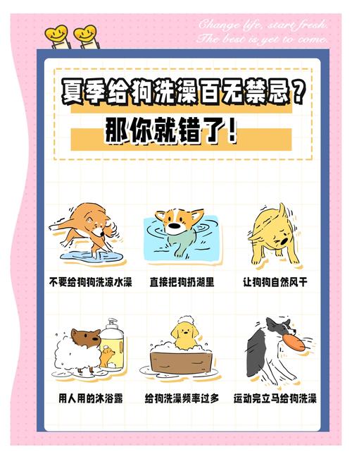 狗狗中暑可以洗冷水澡吗