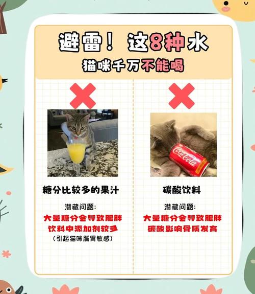 猫咪脱水喝糖水还是盐水