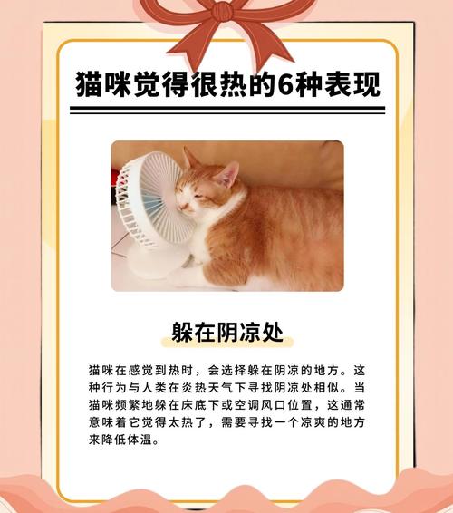 猫咪可以喝冰水吗