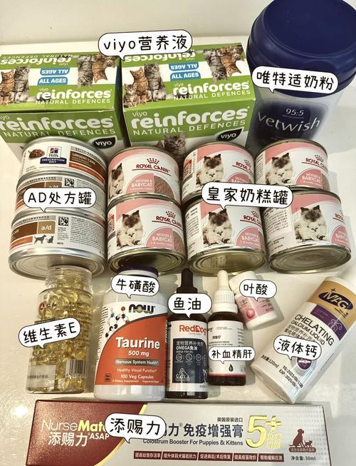 猫咪怀孕了吃什么补充营养?