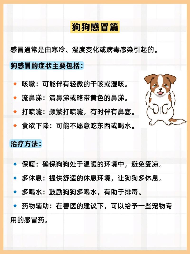 狗狗感冒会引起犬瘟吗