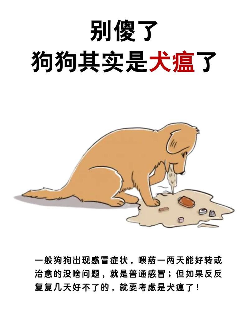狗会不会因为感冒引发犬瘟