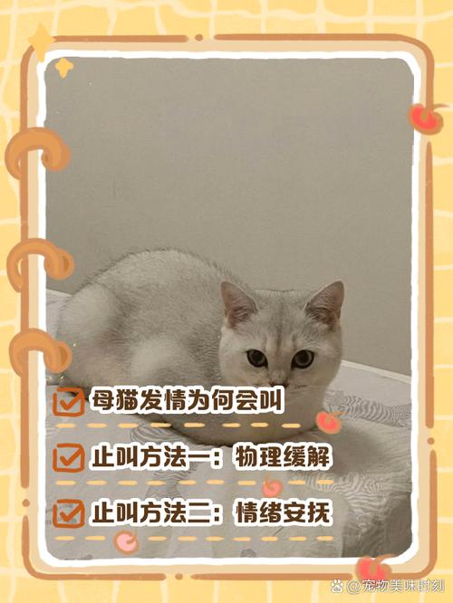 猫闹春怎么快速制止