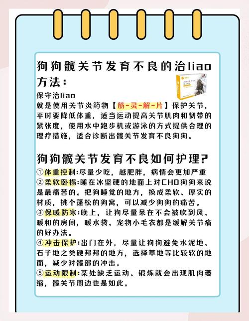 狗狗髋关节发育不良怎么治