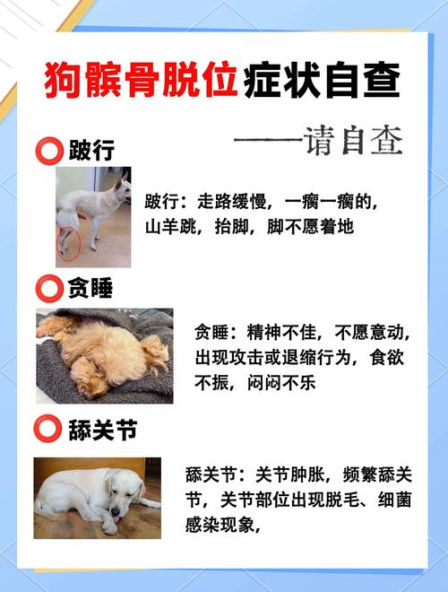 如何治疗狗狗髋关节发育不良?