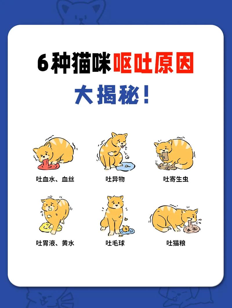 猫咪呕吐没精神