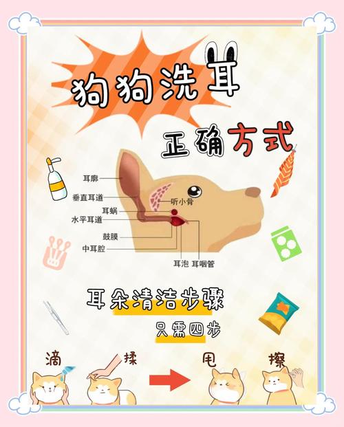 怎么样给狗狗洗耳朵?