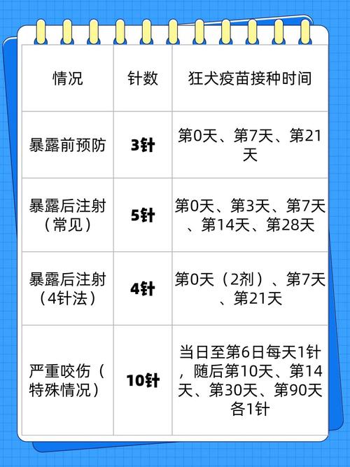 打狂犬疫苗大约多少钱?