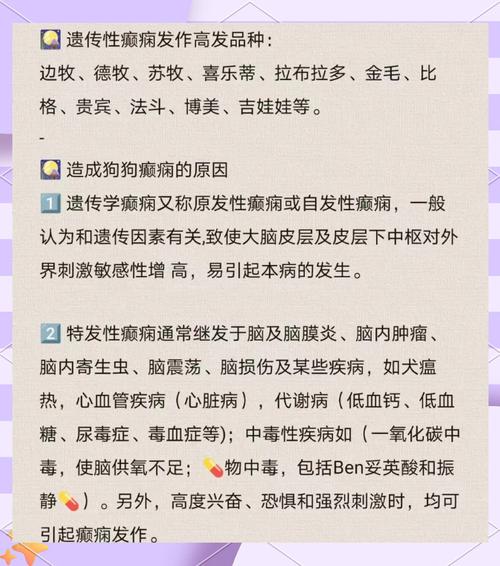 狗狗癫痫可以治吗?