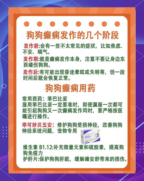 狗狗癫疯怎么控制