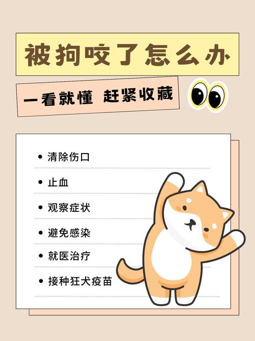 狗被咬伤用什么消炎药