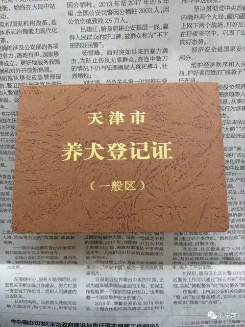 办狗证在哪里办