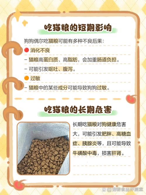 狗吃了一袋猫粮没事吧