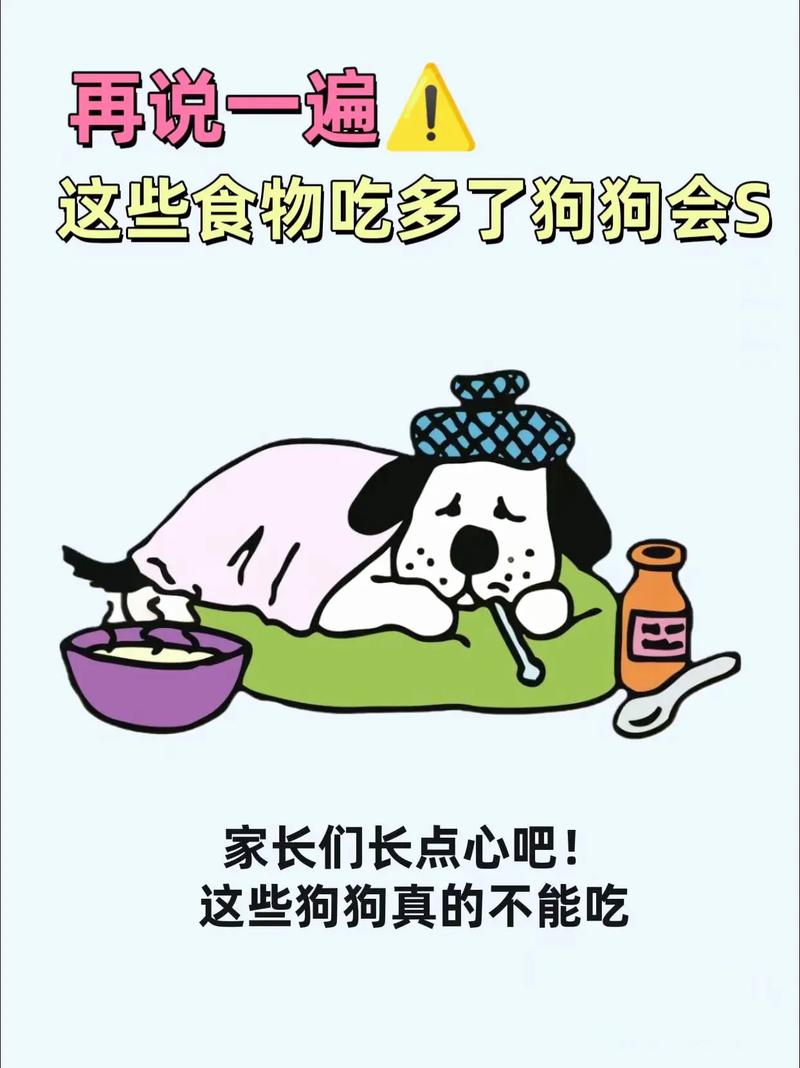 狗狗为什么会油腻呕吐