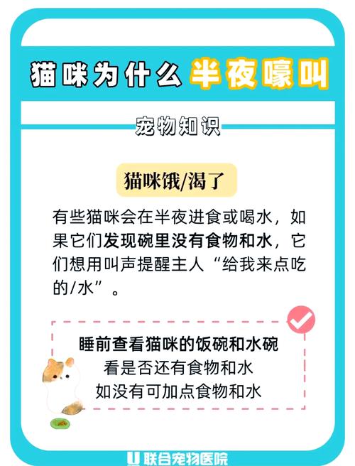 为什么猫咪凌晨三四点叫唤?