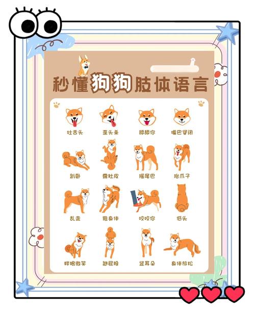 教狗狗说话技巧有哪些