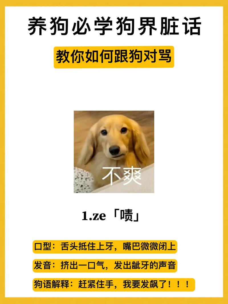 会说话的狗狗真的存在吗?如何训练它开口说话?