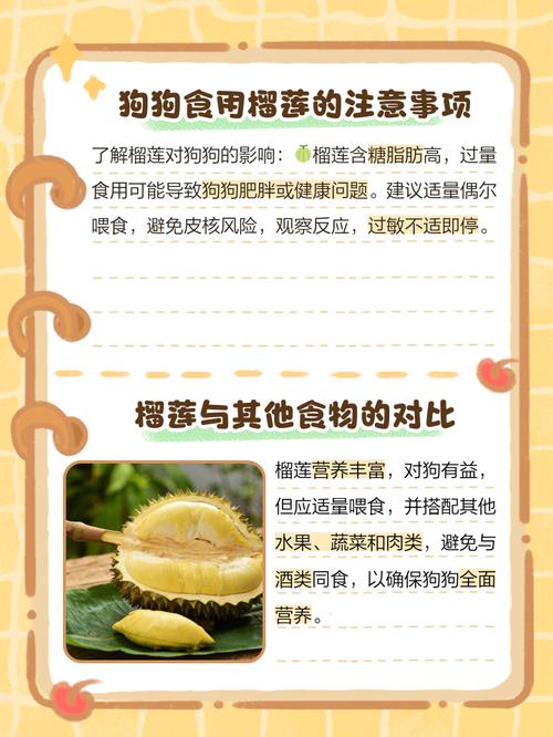 泰迪狗狗能吃榴莲吗