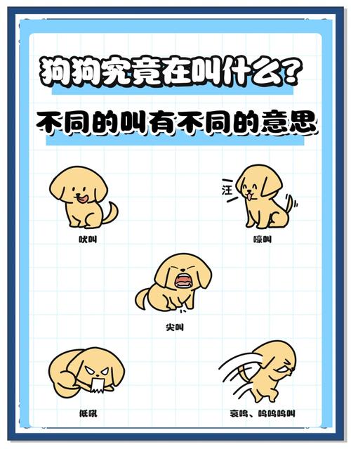 小狗突然呼吸急促还发出呼呼的声音但一会就好了是怎么回事?_百度...