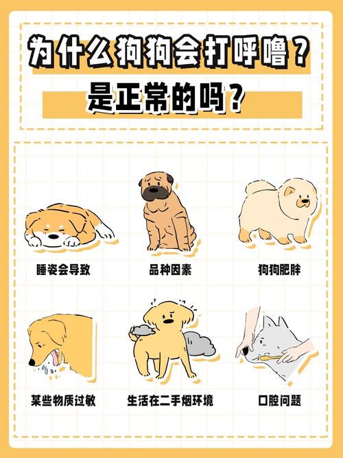 为什么狗狗对主人呼呼