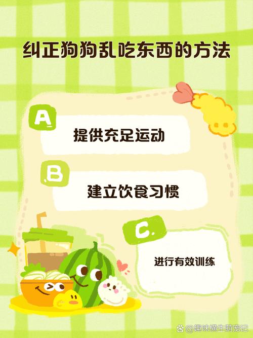 如何训练狗狗不乱吃东西?