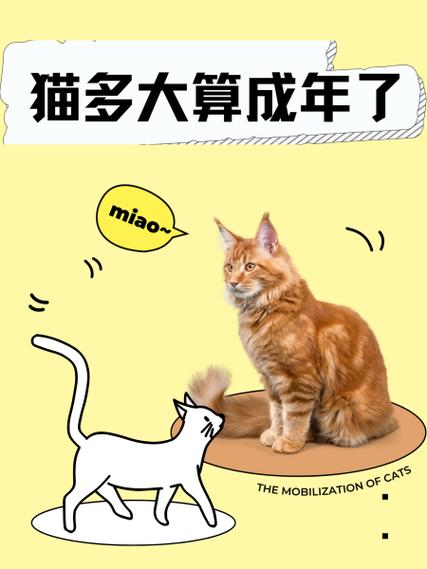猫猫多大才算成年?
