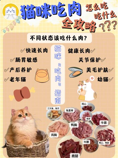 宠物猫可以吃肉吗?2个月的小猫可以吃肉吗?