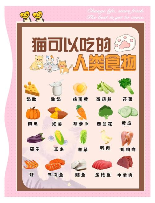 小猫20天了可以吃什么